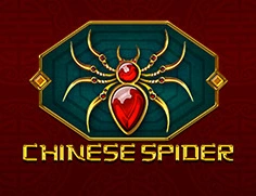 Chinese Spider